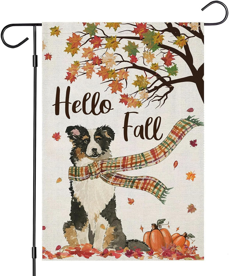 Hello Fall Garden Flags 12X18 Inch Double Sided, Seasonal Dog with Maple Leaves Pumpkins Scarf Small Yard outside Decorations, Harvest Autumn Thanksgiving Farmhouse Holiday Outdoor Décor