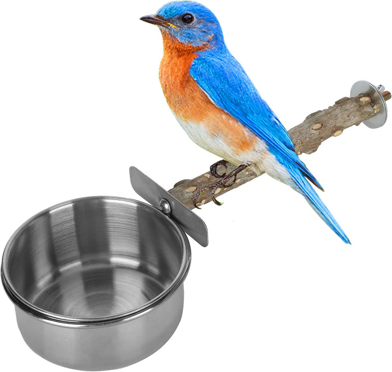 Bird Feeder, Stainless Steel Parrot Feeding Cup with Wood Stand Perch for Parakeet Conure Cockatiels Lovebird Budgie(L) Feeding & Watering Supplies