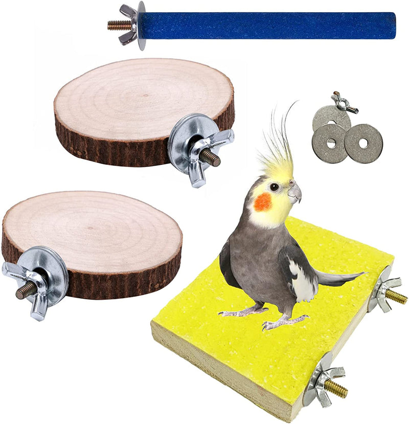 PINVNBY Colorful Bird Perch Stand Platform Sand Paw Grinding Stick Wood Parrot Stand Platform for Cockatiels Parakeets Canaries Hummingbird Little White Budgie（4 Pcs+Color Random）