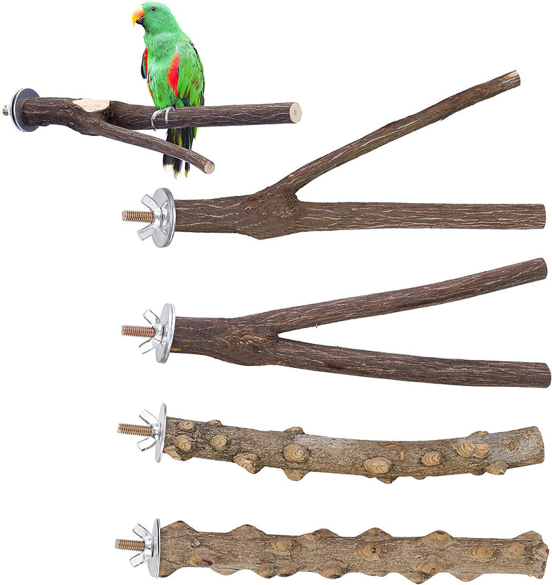 Filhome Bird Perch Stand Toy, Natural Wood Parrot Parakeet Branch Perch Bird Cage Platform Accessories for Cockatiels Conures Macaws Finches Love Birds(15Cm YYII)