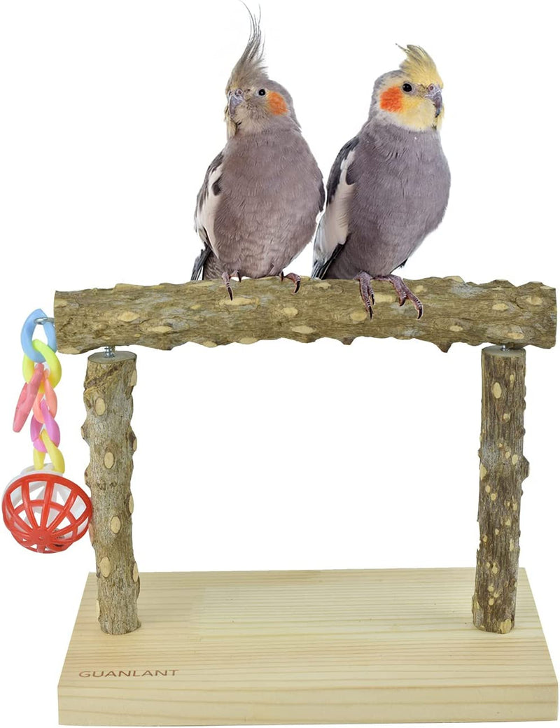 Nature Wood Parrot Table Training Perches Stands, Birdcage Stands with Foraging Bell Toys, Birds Foot Toy Stands, Parakeet Playground Conure Table Scale Perches for Budgies Cockatiel Lovebirds Finch