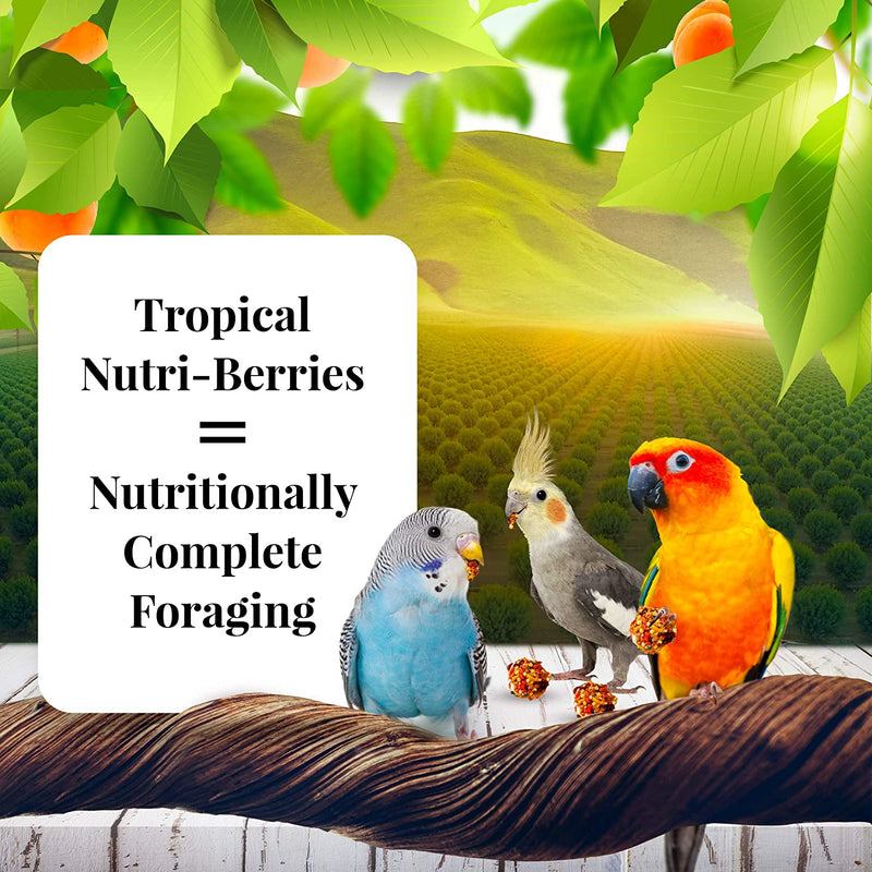 Lafeber Sunny Orchard Nutri-Berries Pet Bird Food, Made with Non-Gmo and Human-Grade Ingredients, for Cockatiels Conures Parakeets (Budgies) Lovebirds, 10 Oz