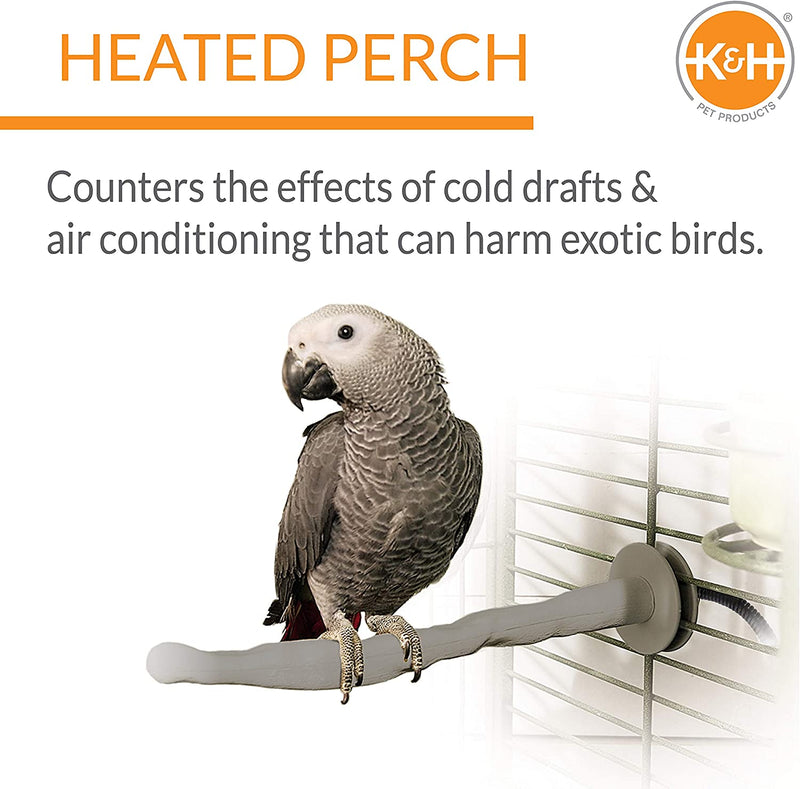 K&H PET PRODUCTS Thermo-Perch Heated Bird Perch Gray Small 1 X 10.5 Inches & Kaytee Spray Millet Treat for Pet Birds, 7 Ounce