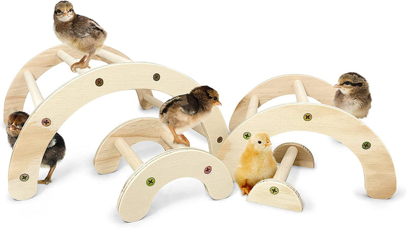 Backyard Barnyard Chick Perch (4 Pack) Strong Jungle Gym Natural Wood Roosting Bar Made in USA!!! Chicken Toys for Brooder and Coop Baby Birds El Pollitos La Pollita Pollos Gallinas Polluelos