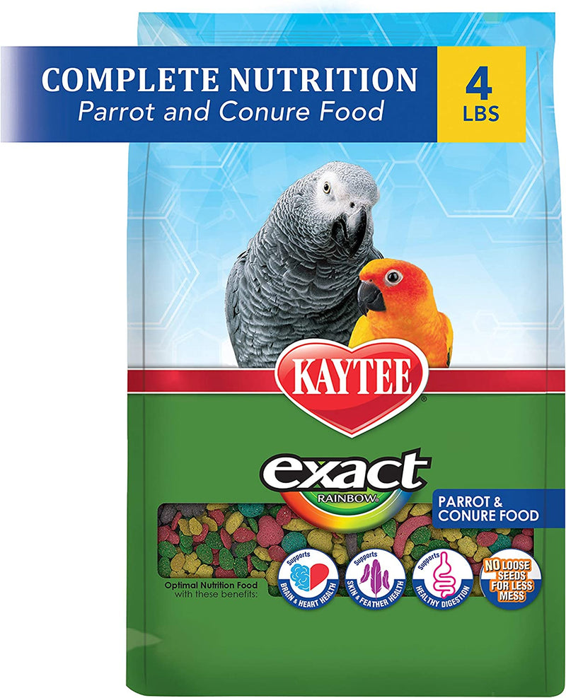 Kaytee Exact Rainbow Pet Parrot & Conure Food, 4 Pound