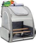Texsens Bird Carrier Backpack - Pet Travel Cage with Stainless Steel Tray and Standing Perch, Breathable & Portable, for Small Birds, Green Cheek, Cockatiel, Parrot (Grey)