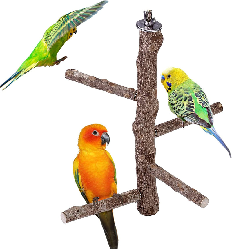 Mogokoyo Natural Wood Bird Perch Stand, Hanging Multi Branch Perch for Cage, Parrots, Parakeets Cockatiels, Conures, Macaws, Love Birds, Finches