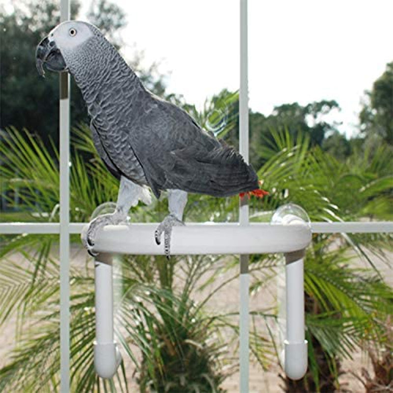 Feathersmart Bird Parrot Shower Perch (Large Round