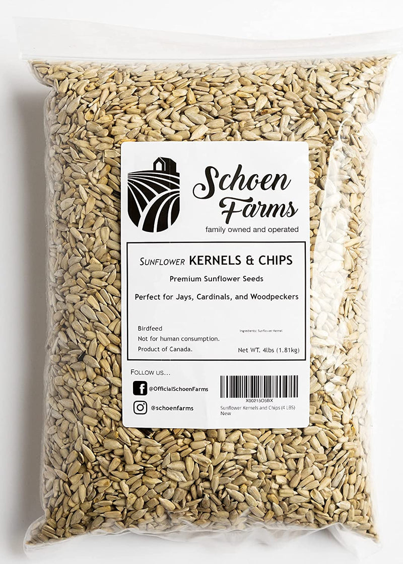 Sunflower Kernels and Chips (10 LBS) Hearts, Bird Seed