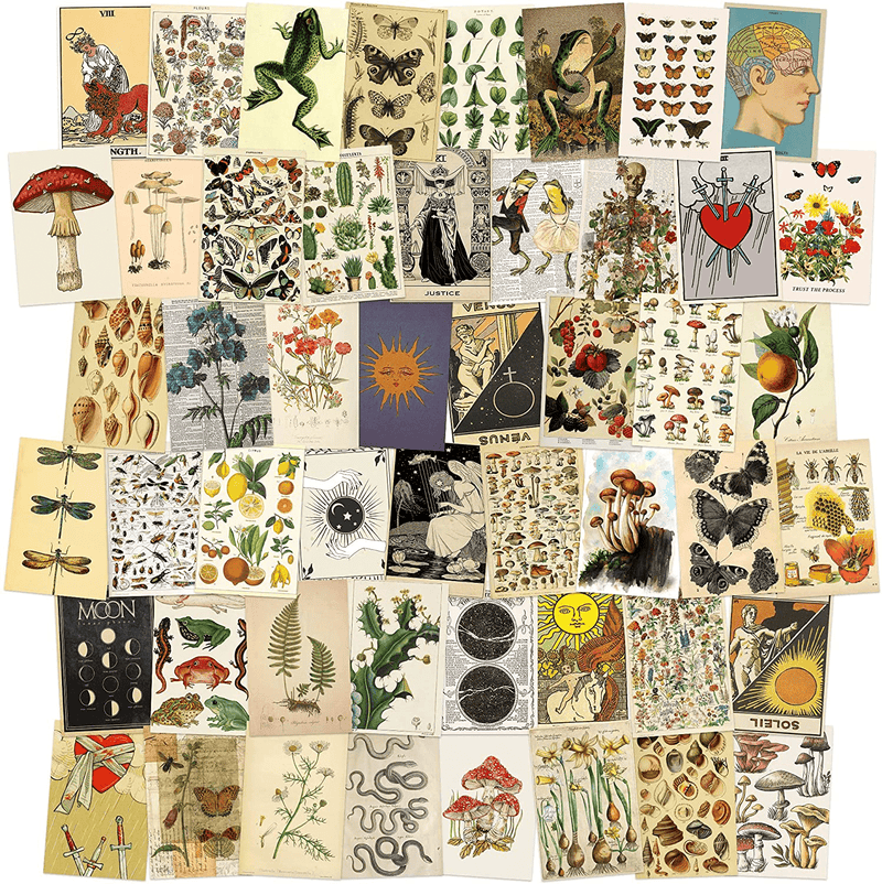 8TEHEVIN 50PCS Vintage Botanical Illustration Tarot Aesthetic Pictures Wall Collage Kit, Trendy Small Poster for Dorm, Vintage Style Art Print Photo Collection, Bedroom Decor for Teens Boys Girls