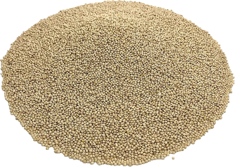 Premium White Proso Millet Bird Seed Feed,10Lbs Bulk Bag