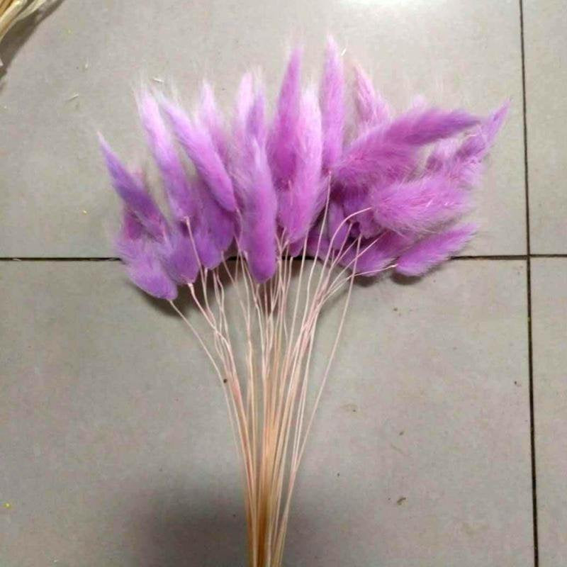 JANDEL 30PCS Natural Rabbit Tail Grass Dried Flower, for Valentine'S Day, Wedding, Household Decorations Festive Party Supplies, Purple