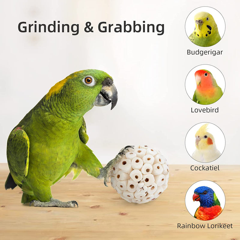 Andwe Bird Toy Sola Ball - Natural Soft Chew Shredding & Foraging Toy for Cockatiel Conure Quaker Parrot Budgie Parakeet Rabbit Bunny Guinea Pig Chinchilla (Style 1 (Pack of 6))