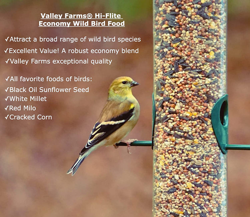 Valley Farms Hi-Flite Wild Bird Food - Best Value Blend for All Species of Birds (20 LBS)