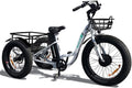 Emojo Electric Tricycle/Fat Tire Caddy Pro Trike, 500W 48V Hybrid Bicycle with Hydraulic Brake, Oversize Rear Cargo and Front Basket for Heavy-Duty Carrying or Delivery