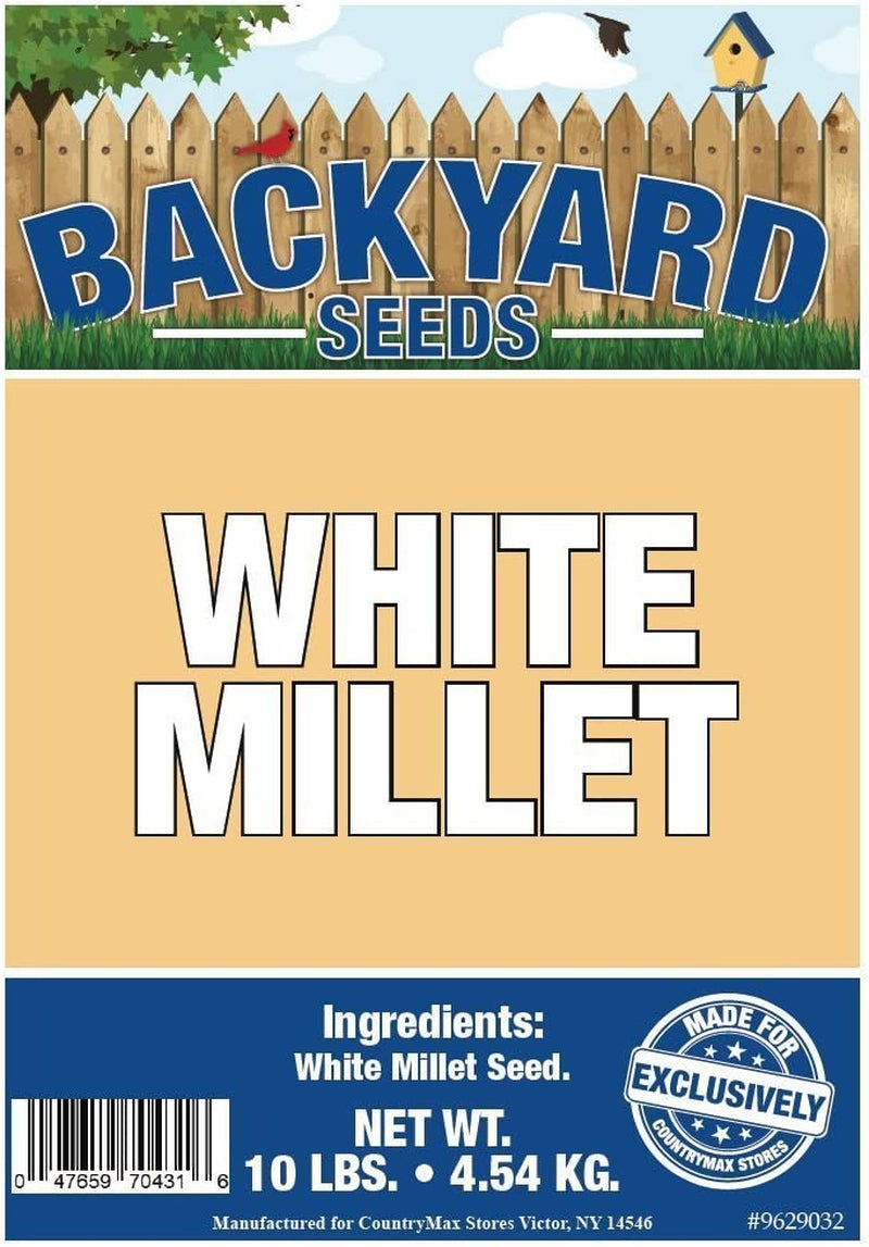 Backyard Seeds White Millet Bird Seed for Finches 8 Pounds (8 Pounds)