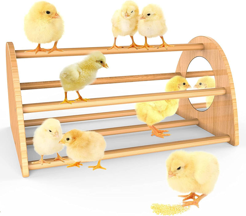 Ensayeer Bamboo Chicken Perch with Mirror, Strong Roosting Bar for Coop and Brooder, Training Perch for Large Bird, Hens, Parrots, Macaw, Easy to Assemble and Clean, Fun Toys for Chicken