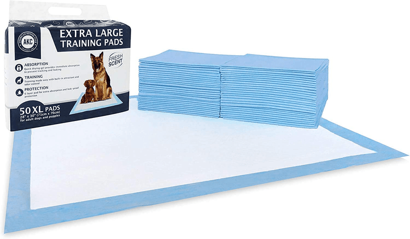 American Kennel Club Pet Training and Puppy Pads, Regular and Extra Large
