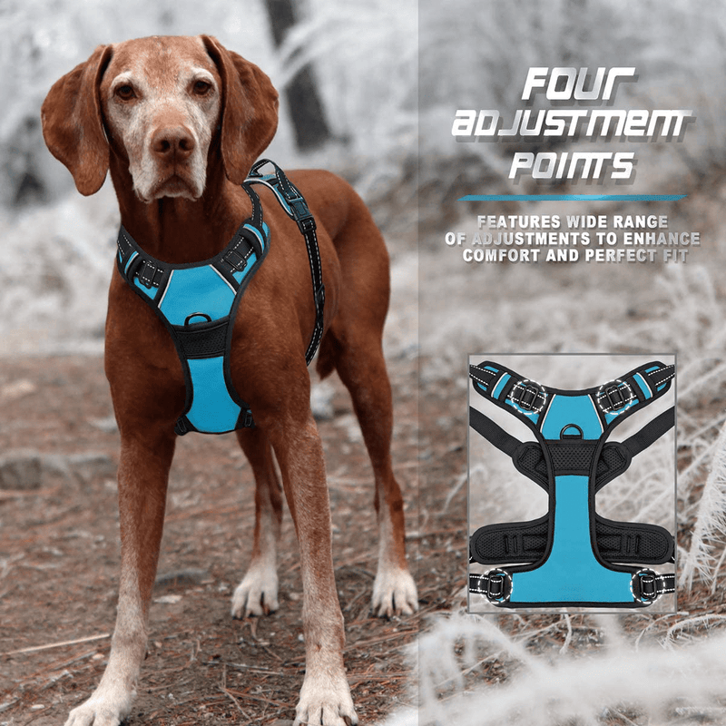 BARKBAY No Pull Dog Harness Front Clip Heavy Duty Reflective Easy Control Handle for Large Dog Walking(Blue,L)