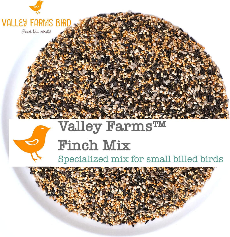 Wild Finch Mix Wild Bird Food -Super Clean Seed for Outdoor Finch Feeder - 15 LBS