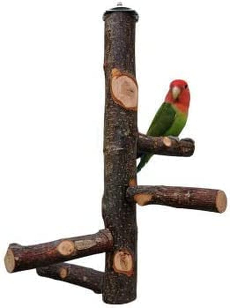 Bird Perch Stand Platform, Durable Paw Grinding Clean Board Practical Pets Cage Accessories Stands Exercise Bird Toys for Parrots,Natural Wood Parrot Perch Bird Cage Branch Perch Accessories