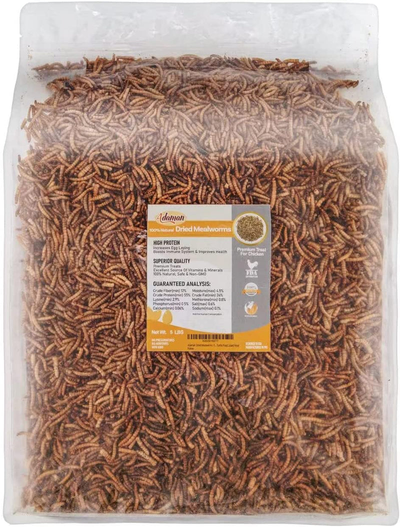 Adaman Dried Mealworms -5 LBS- 100% Natural Non GMO High Protein Mealworms - Bulk Mealworms for Wild Birds, Chicken Treats, Hamster Food, Gecko Food, Turtle Food, Lizard Food