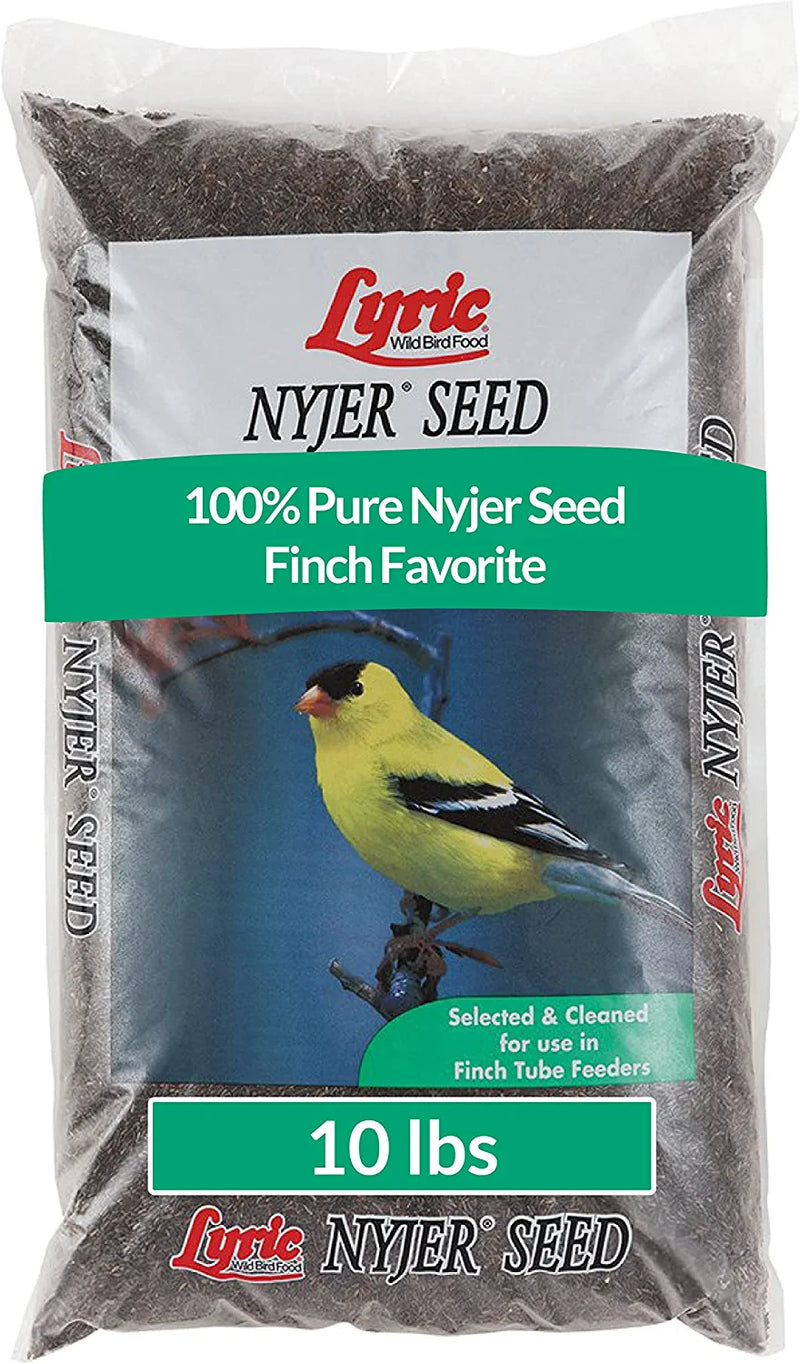Lyric Nyjer Seed Wild Bird Seed Finch Food Bird Seed, 10 Lb. Bag