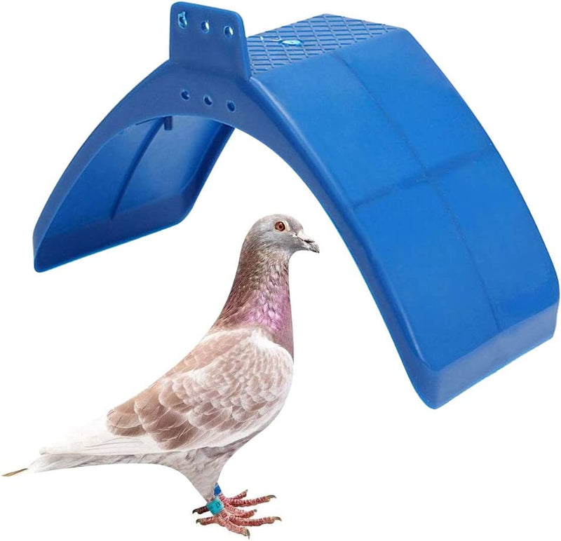 SENNAUX 20PCS Dove Rest Stand Frame Pigeon Perches Grill Dwelling Bird Rest Roost Holder(20Pcs, Blue)