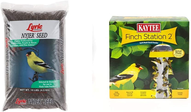 Lyric Nyjer Seed Wild Bird Seed Finch Food Bird Seed, 10 Lb. Bag