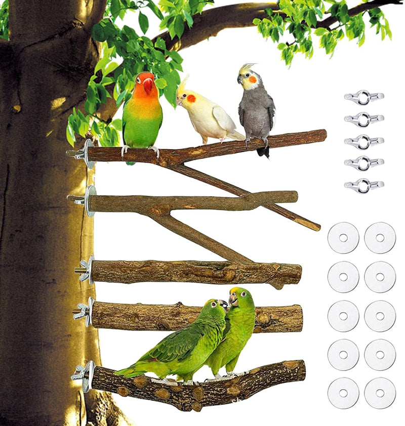 JISADER 5X Bird Perch Stand Chewing Toys Climbing Branch for Parakeets Small Animal, 20Cm