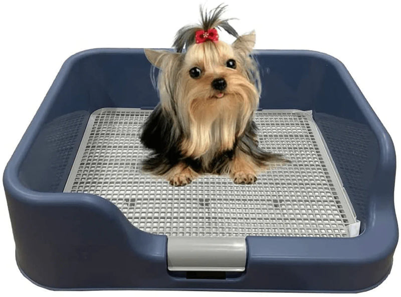 [DogCharge] Indoor Dog Potty Tray – with Protection Wall Every Side for No Leak, Spill, Accident - Keep Paws Dry and Floors Clean
