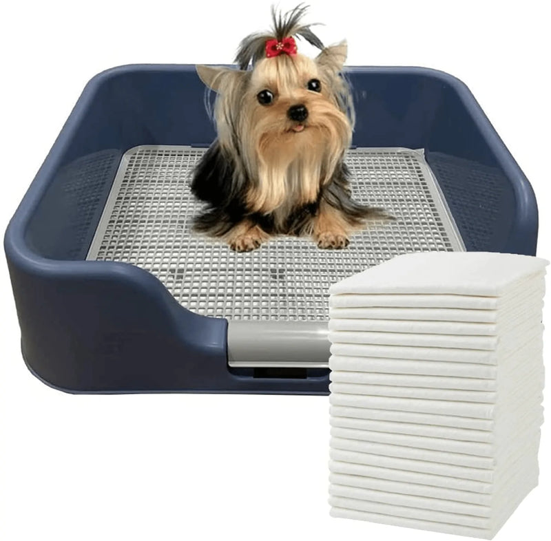 [DogCharge] Indoor Dog Potty Tray – with Protection Wall Every Side for No Leak, Spill, Accident - Keep Paws Dry and Floors Clean