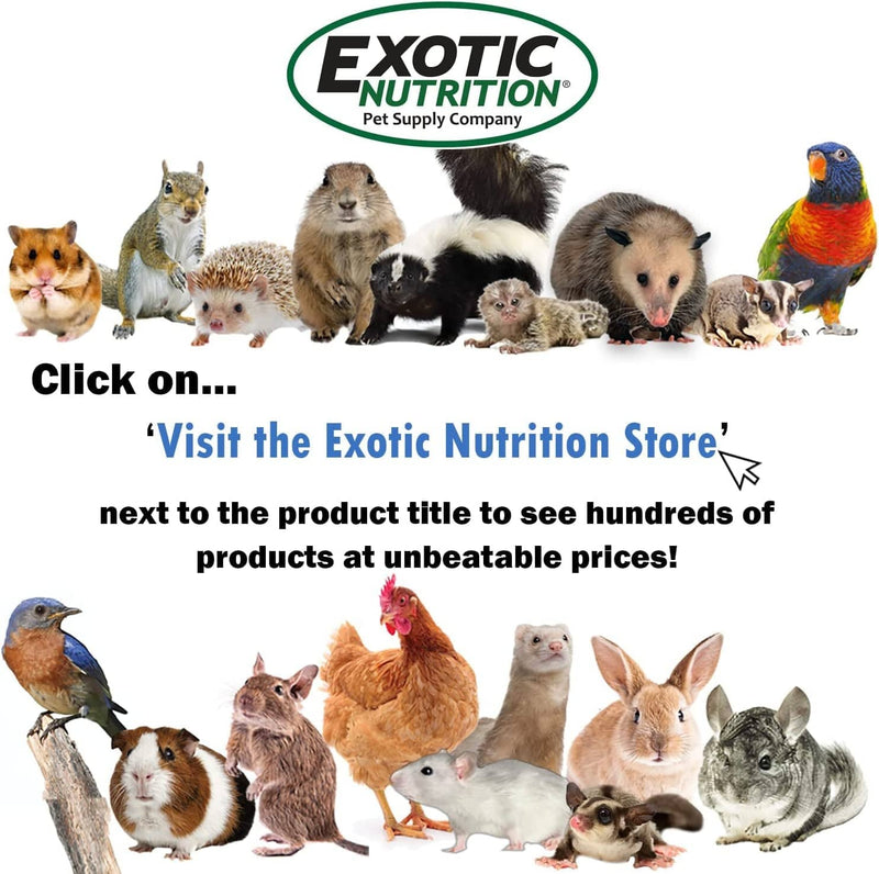 Exotic Nutrition Nectar POD Forager - Small Animal Toy & Cage Accessory - Sugar Gliders, Rats, Ferrets, Birds, Squirrels, Prairie Dogs, Degus, Chinchillas, Marmosets & More