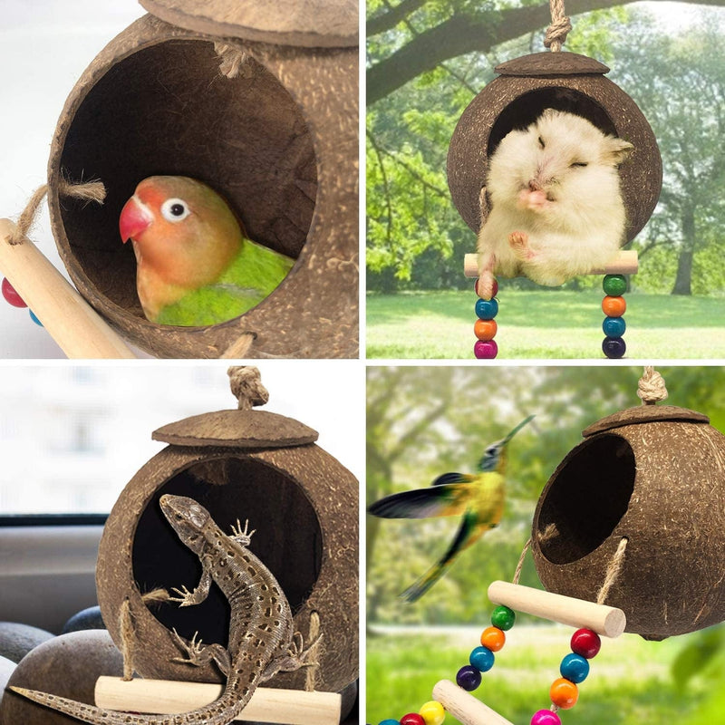 Hanging Coconut Bird House with Ladder,Natural Coconut Fiber Shell Bird Nest for Parrot Parakeet Lovebird Finch Canary,Coconut Hide Bird Swing Toys for Hamster,Bird Cage Accessories,Pet Bird Supplies