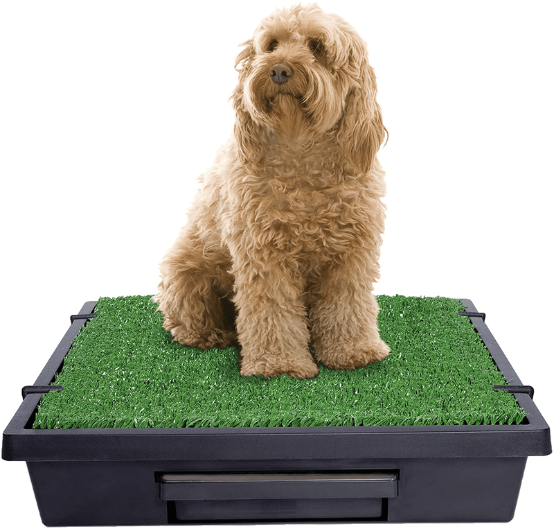 PetSafe Pet Loo Portable Outdoor or Indoor Dog Potty - Dog Grass Pad with Tray - Alternative to Puppy Pads - Easy to Clean Dog Potty Grass, Absorbent Wee Sponge, Pee Pod - Small, Medium, Large