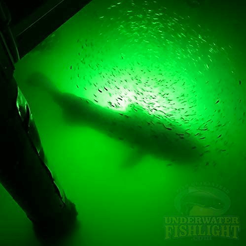 Underwater Fish Light Classic Natural Green Dock Light System