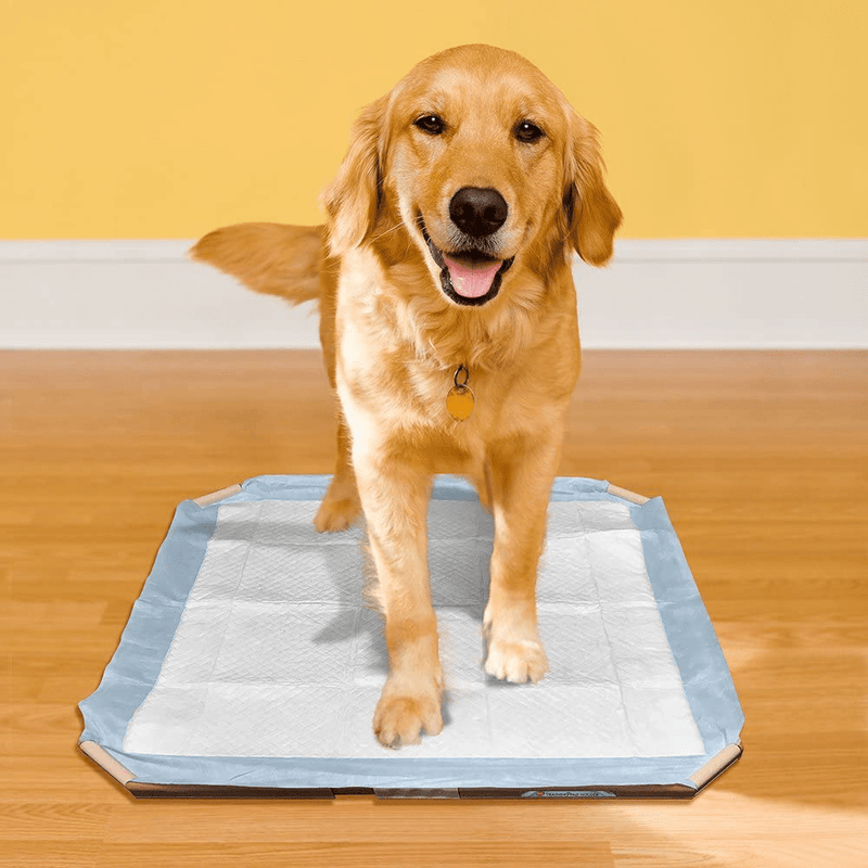 Vet's Best Dog Pad Holder | Portable Tray for Training and Puppy Pads | Protection Against Leakage, Bunching, and Shredding | 21 x 21 Inches or Larger