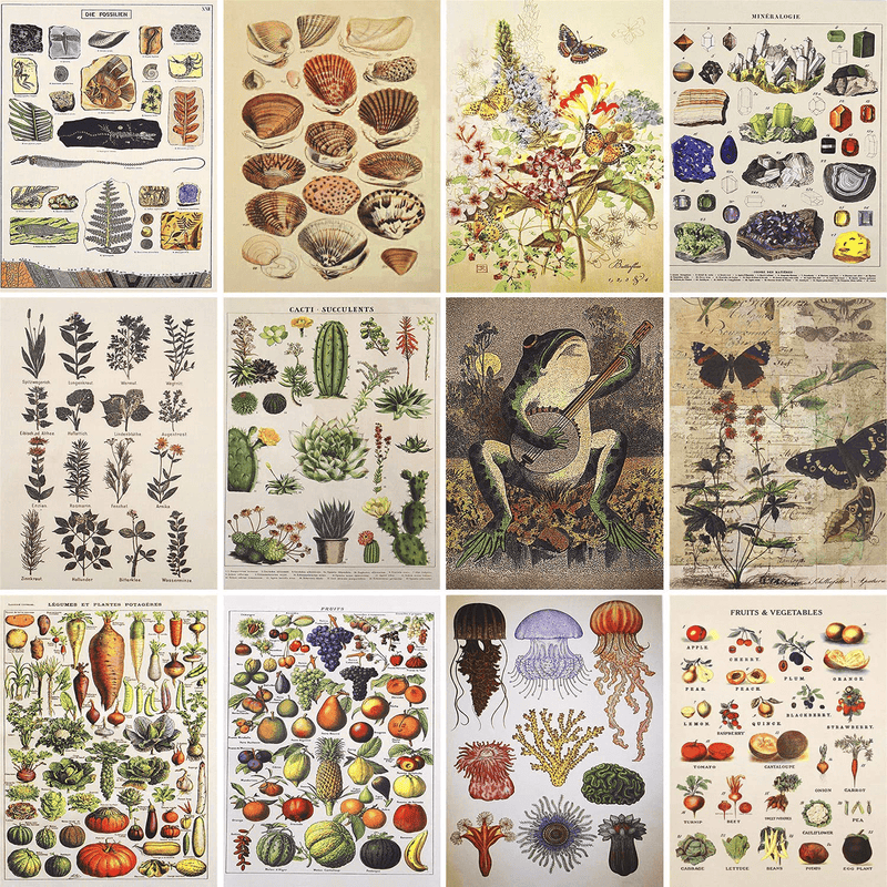 Vintage Wall Collage Kit Aesthetic Pictures Cottagecore Botanical Wall Posters for Room Decor Nature Illustration Boho Trendy Indie Wall Photo Prints for Girls Teens Bedroom School Dorm Wall Art 70PCS