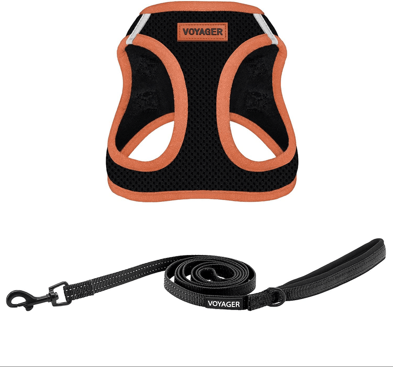 Voyager Step-In Air Dog Harness - All Weather Mesh, Step in Vest Harness for Small and Medium Dogs by Best Pet Supplies