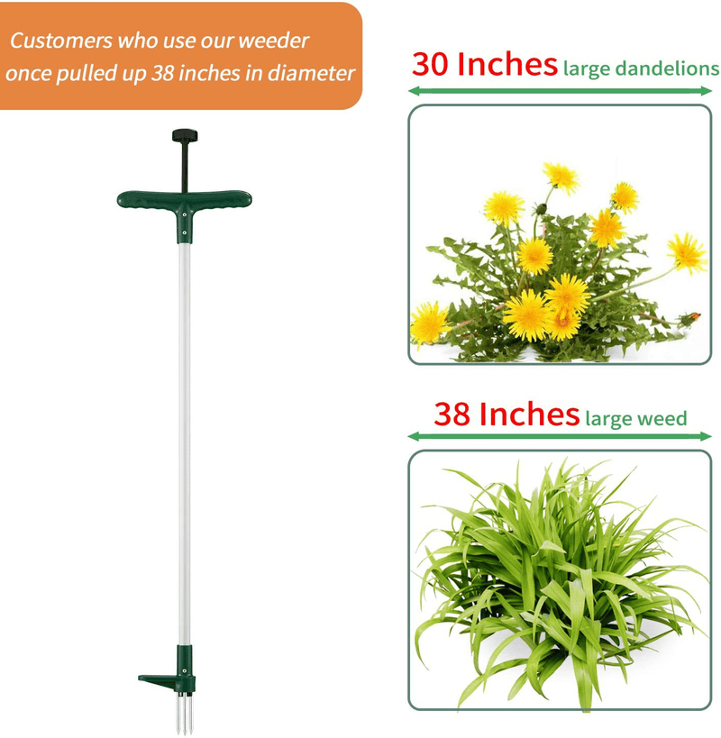 Walensee Weed Puller, Stand Up Weeder Hand Tool, Long Handle Garden Weeding Tool with 3 Claws, Hand Weed Hound Weed Puller for Dandelion, Standup Weed Root Pulling Tool and Picker, Grabber (1 Pack)