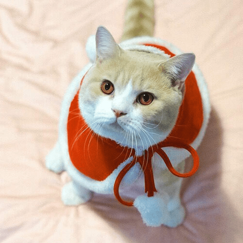 Weeh Dog Clothes for Christmas Cat Xmas Holiday Costume Red Christmas Cape Hooded Cloak Winter Outwear