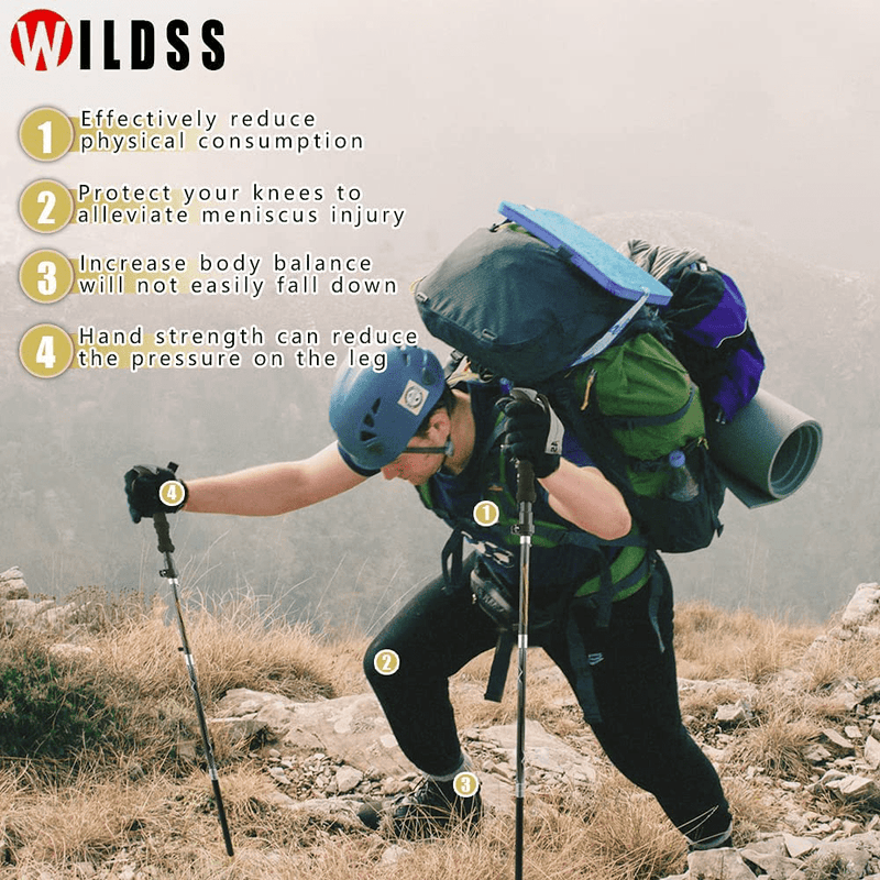 Wildss Hiking Poles - Collapsible Trekking Poles - Adjustable Lightweight Walking Stick for Hiking - with Quick Lock System - for Hiking Camping Men Women Child Elderly(Black)