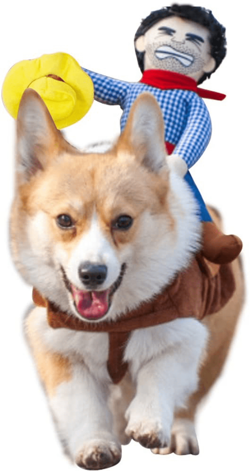WORDERFUL Pet Costume Cowboy Rider Style Dog Costume Pet Suit Dog Carrying Costume (M)