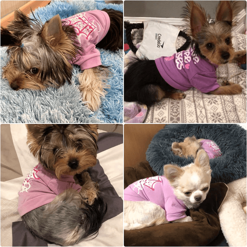 Yikeyo Xs Puppy Clothes Girl - Yorkie Clothes for Small Dogs - Small Puppy Clothes Boy - Xs Dog Clothes Girl - Tea Cup Puppy Clothes - Female Dog Clothes - Girl Dog Clothes